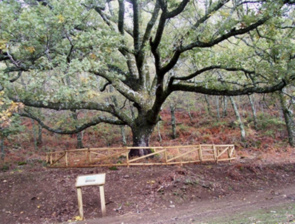 Las Calabazas Barrado Phòng bức ảnh